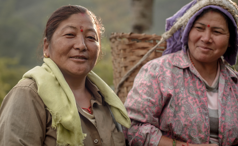 Tea pickers of makaibari tea estate. The ladies were friendly and seemed to enjoy the diversion of being photographed, although they were initially shy to pose. This is the mother of the household that I spent three nights staying at. She was up at 5am and worked until past 8pm.