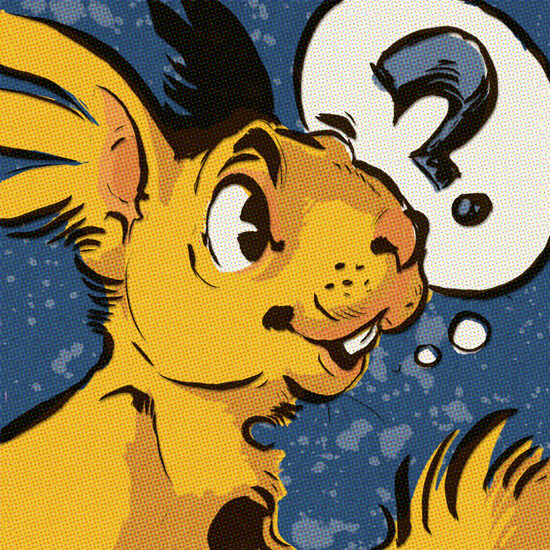 eko_lores-550.png