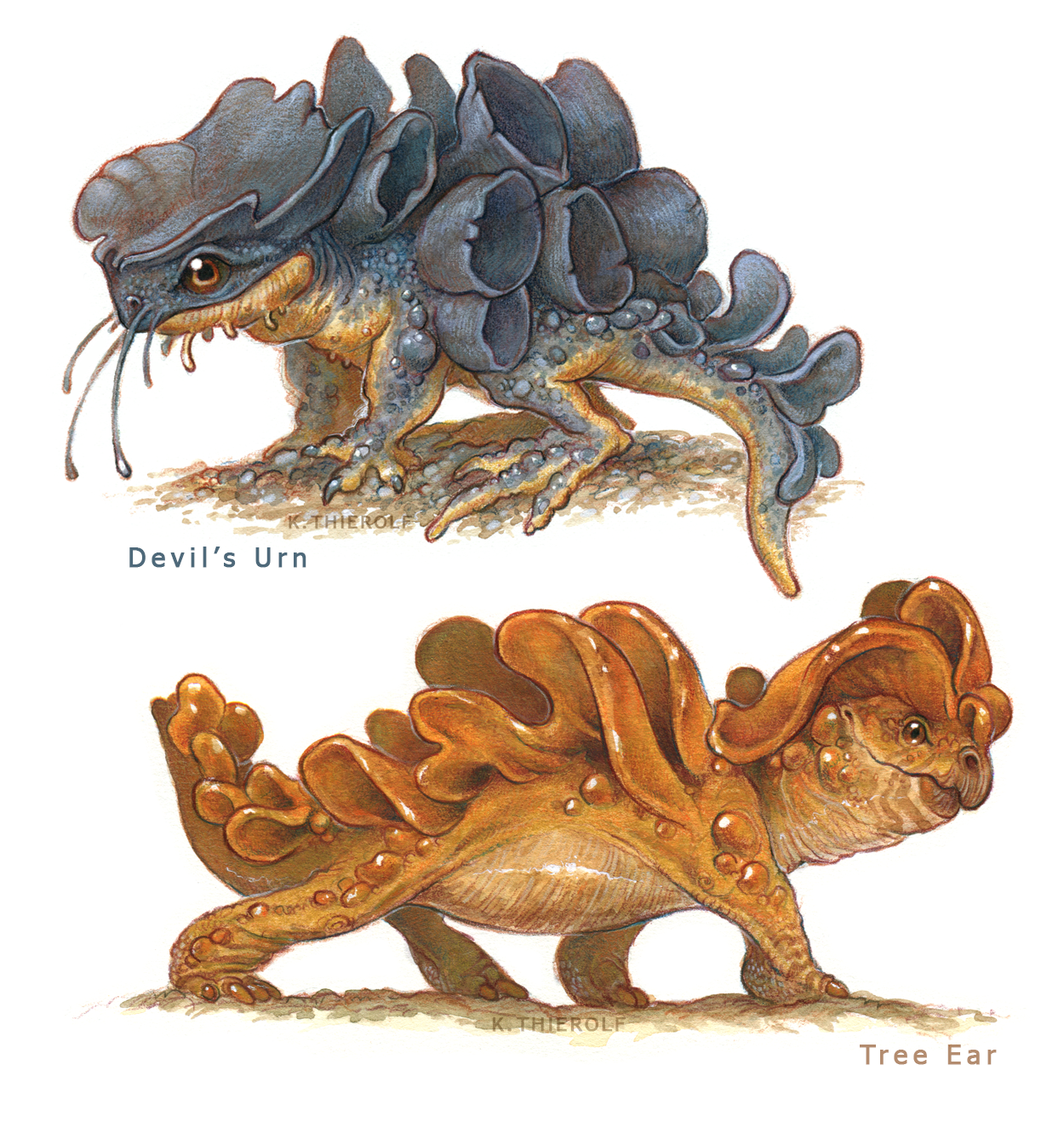 Devil's Urn and Tree Ear Mimics