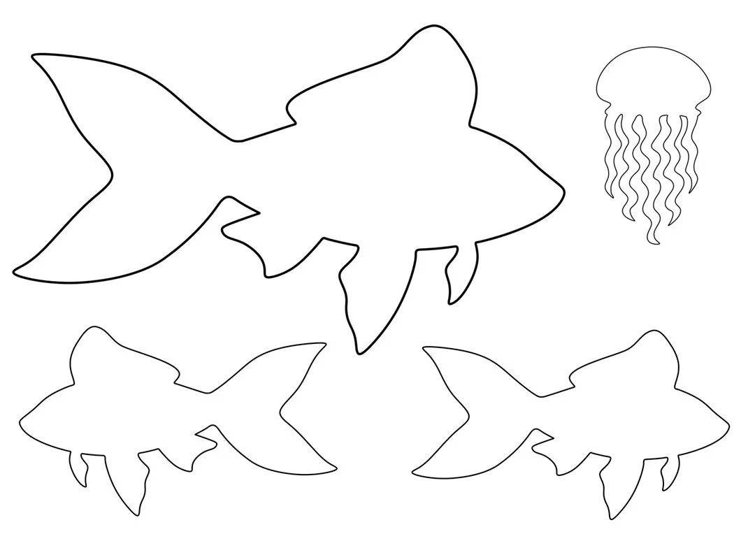 FISH SWIM.jpg