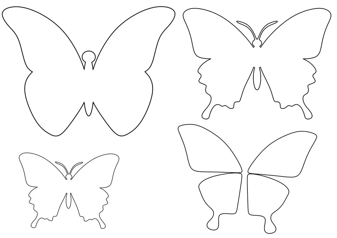 butterflies.jpg