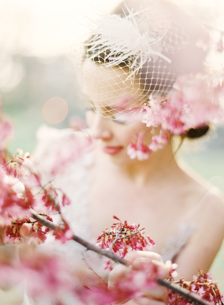 gold birdcage veil hushed commotion ostrich*.jpg