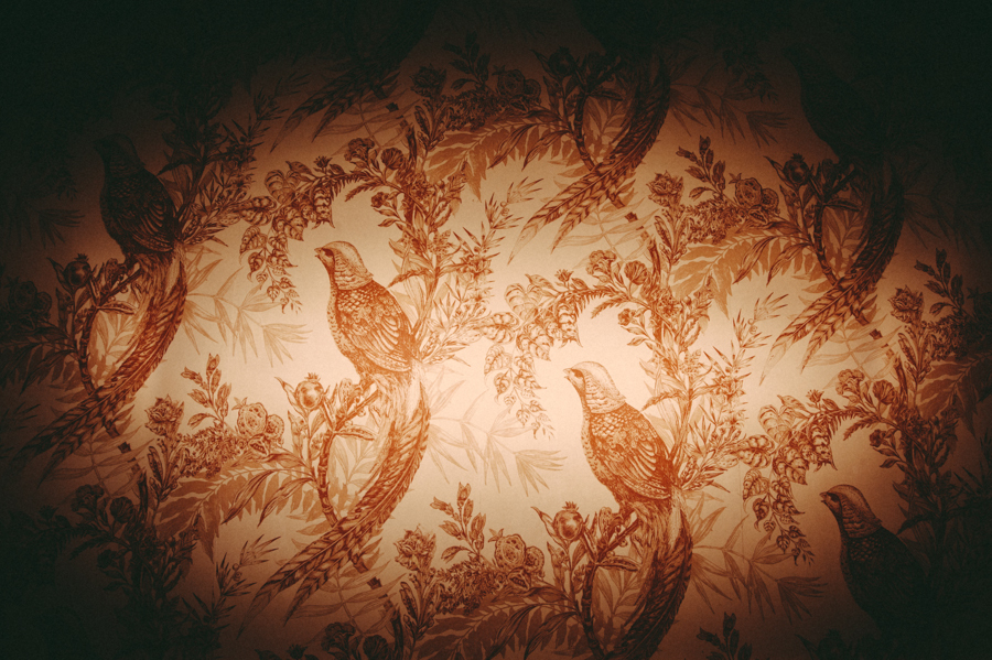  ... a break from all the lovely faces, how much do you love this wallpaper at the Highlands?!