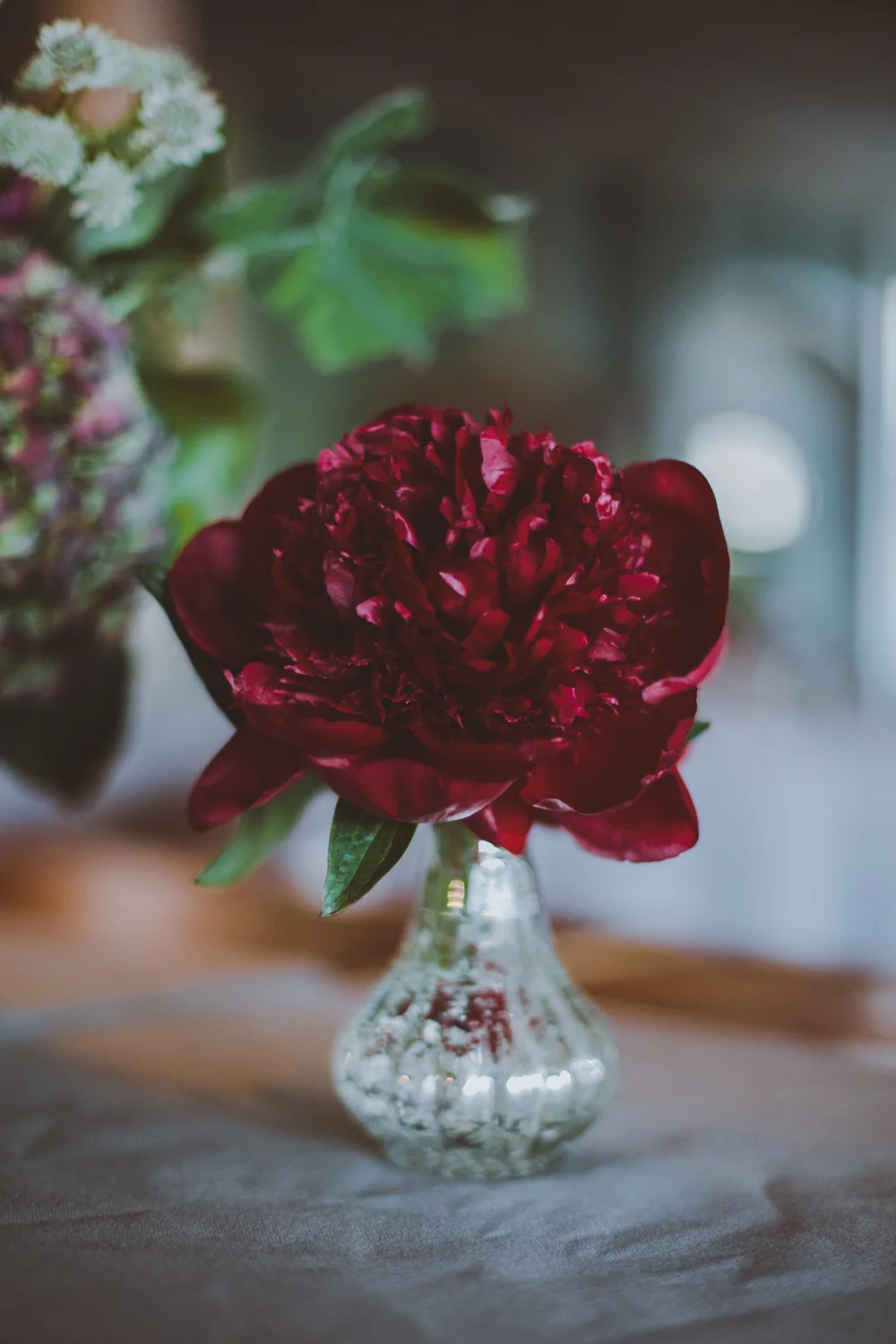 red peony amber gress
