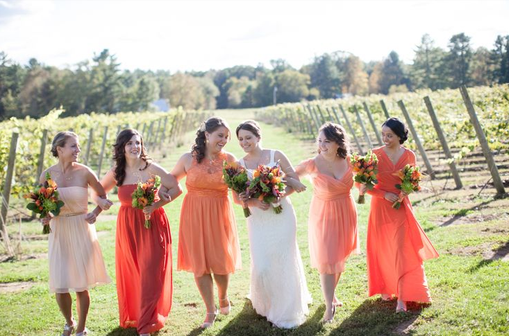 gold molly comb hushed commotion