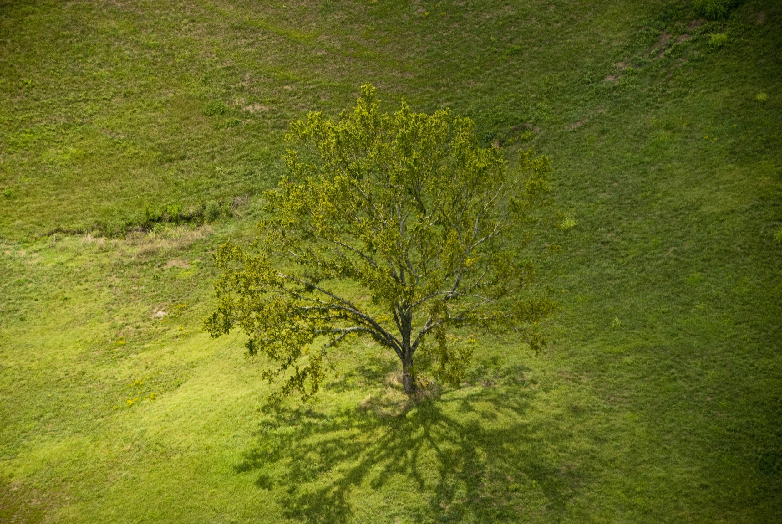 ALS081412_260.jpg