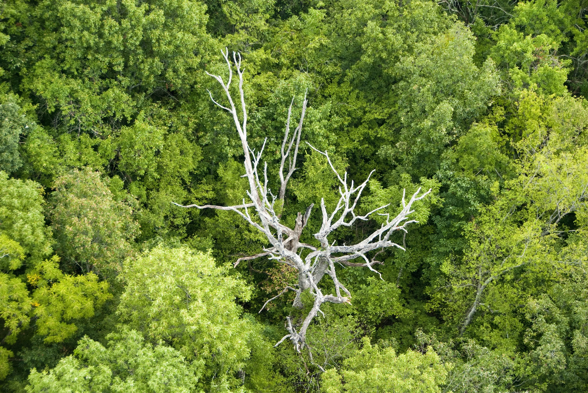 ALS081412_118.jpg