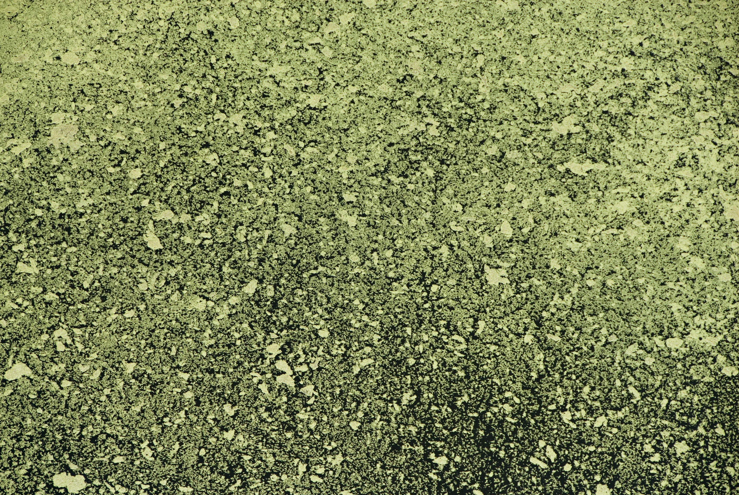 ALS071712_480.jpg