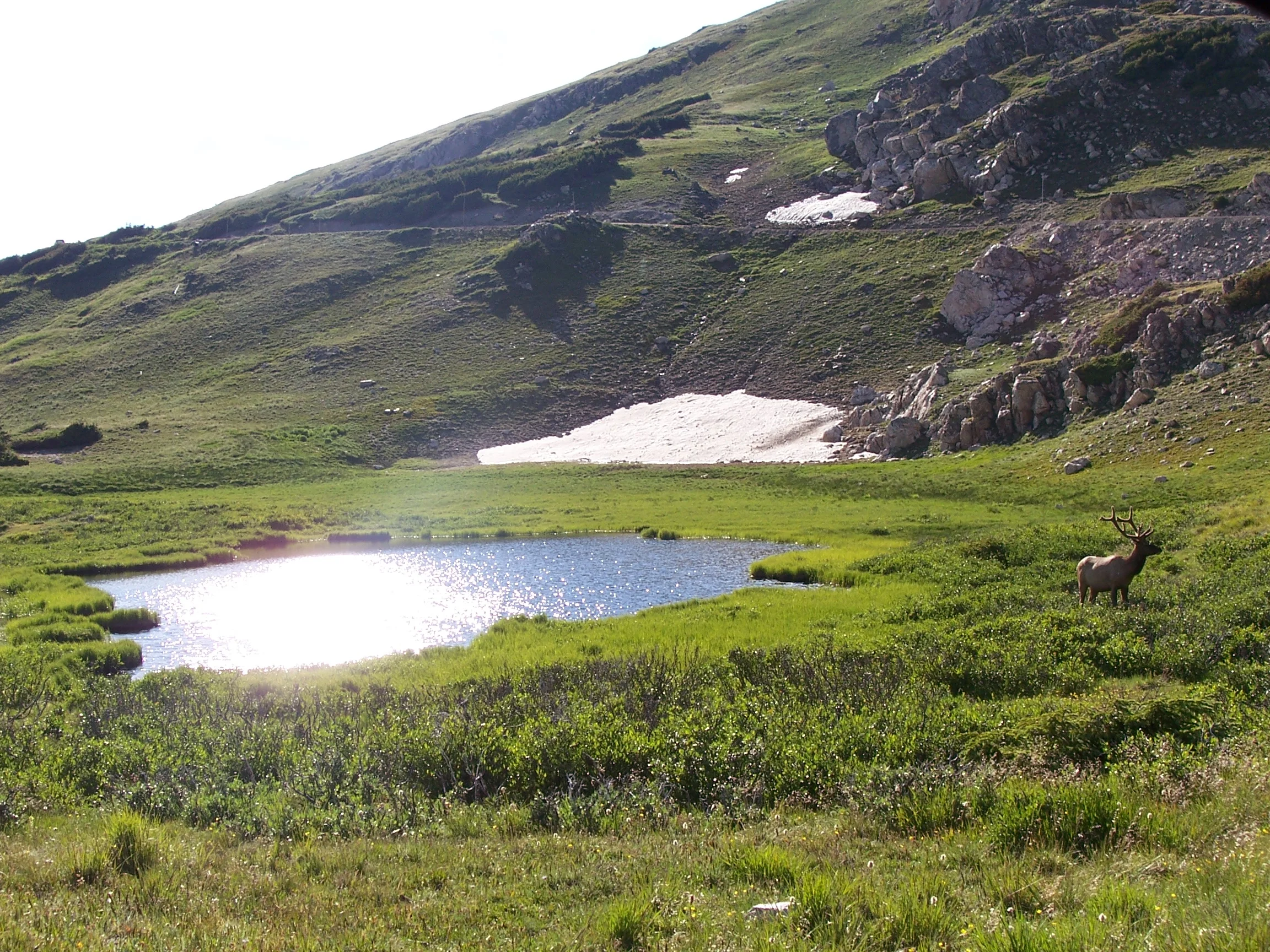 102_1794.JPG
