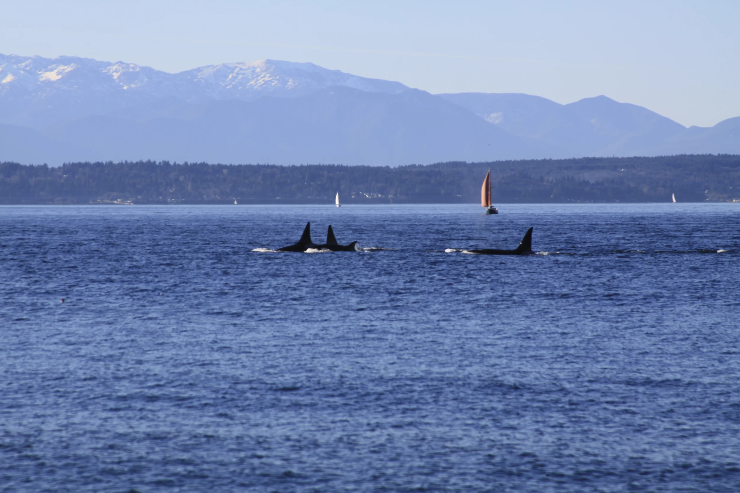 Seattle2.2012274.jpg