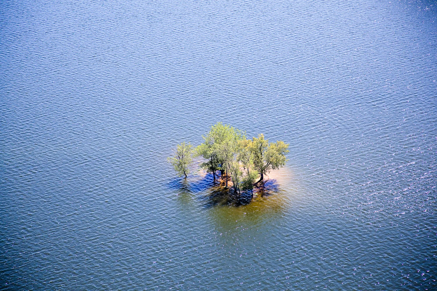 untitled083.jpg