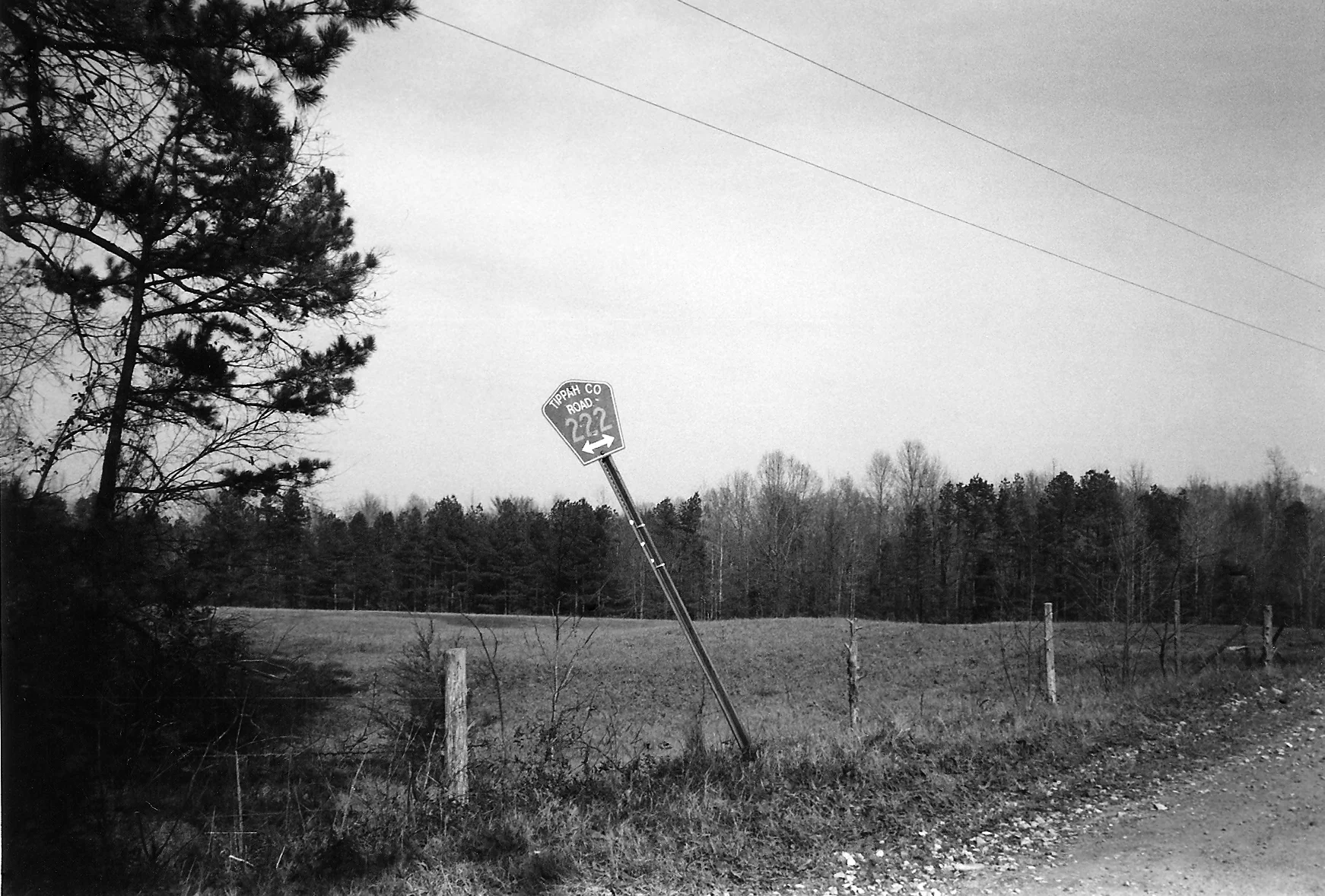 Road Sign.jpg
