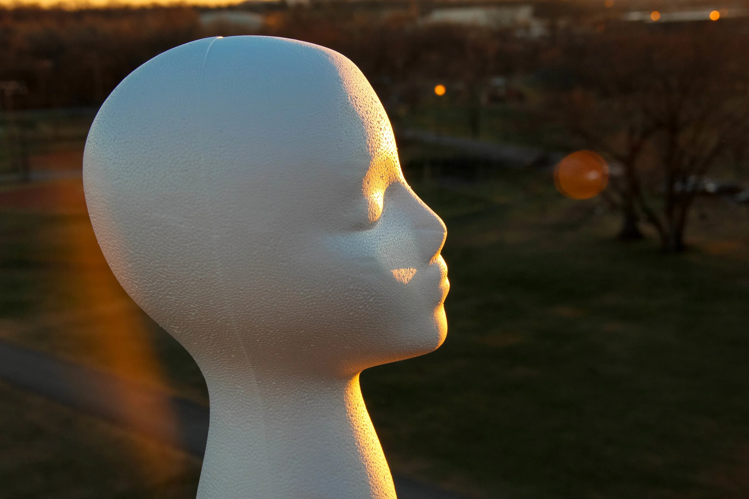 012013_-217.jpg