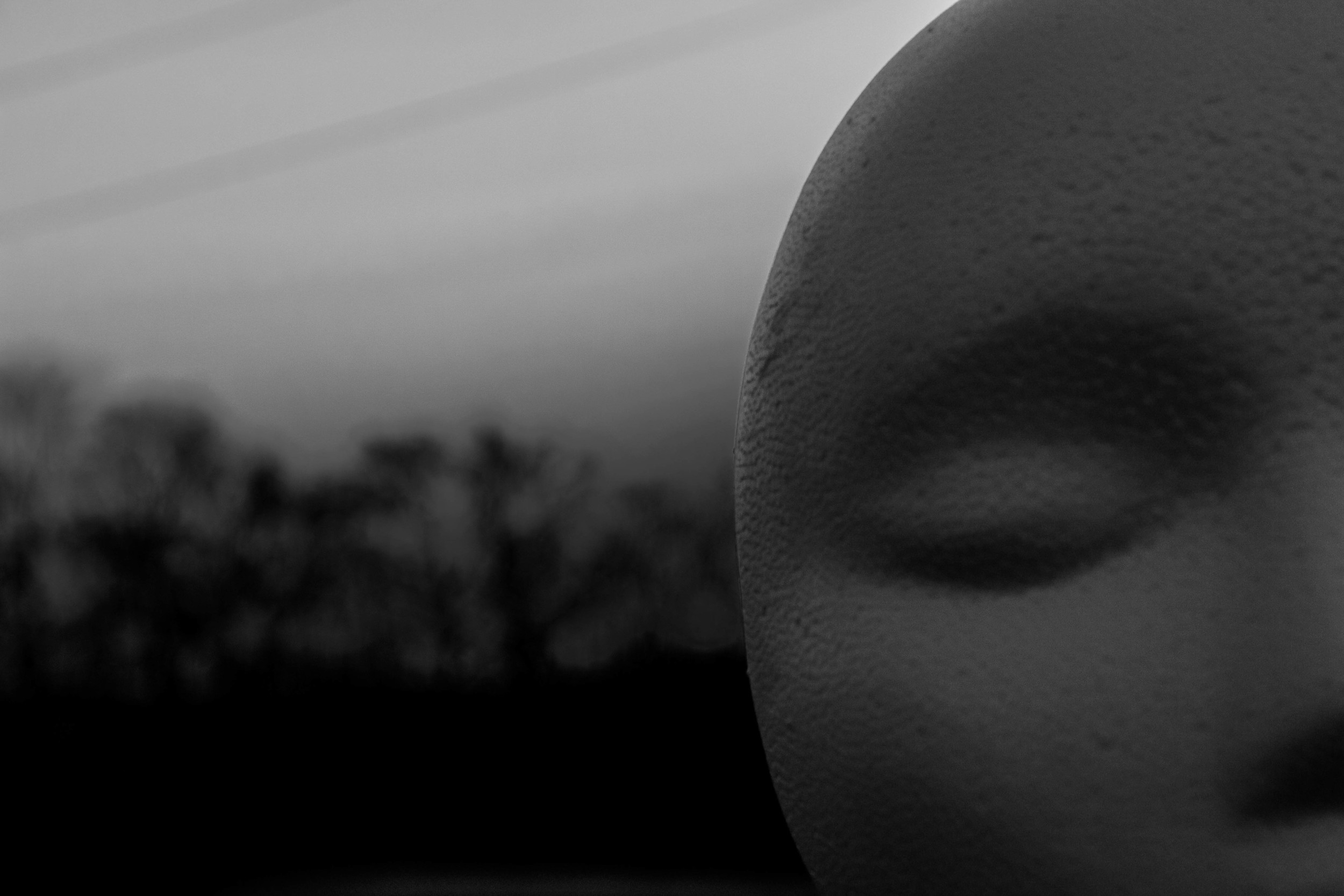 012013_-236.jpg
