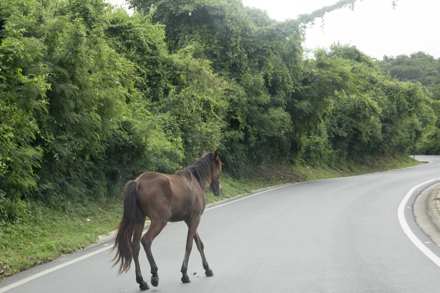 PuertoRico018.jpg