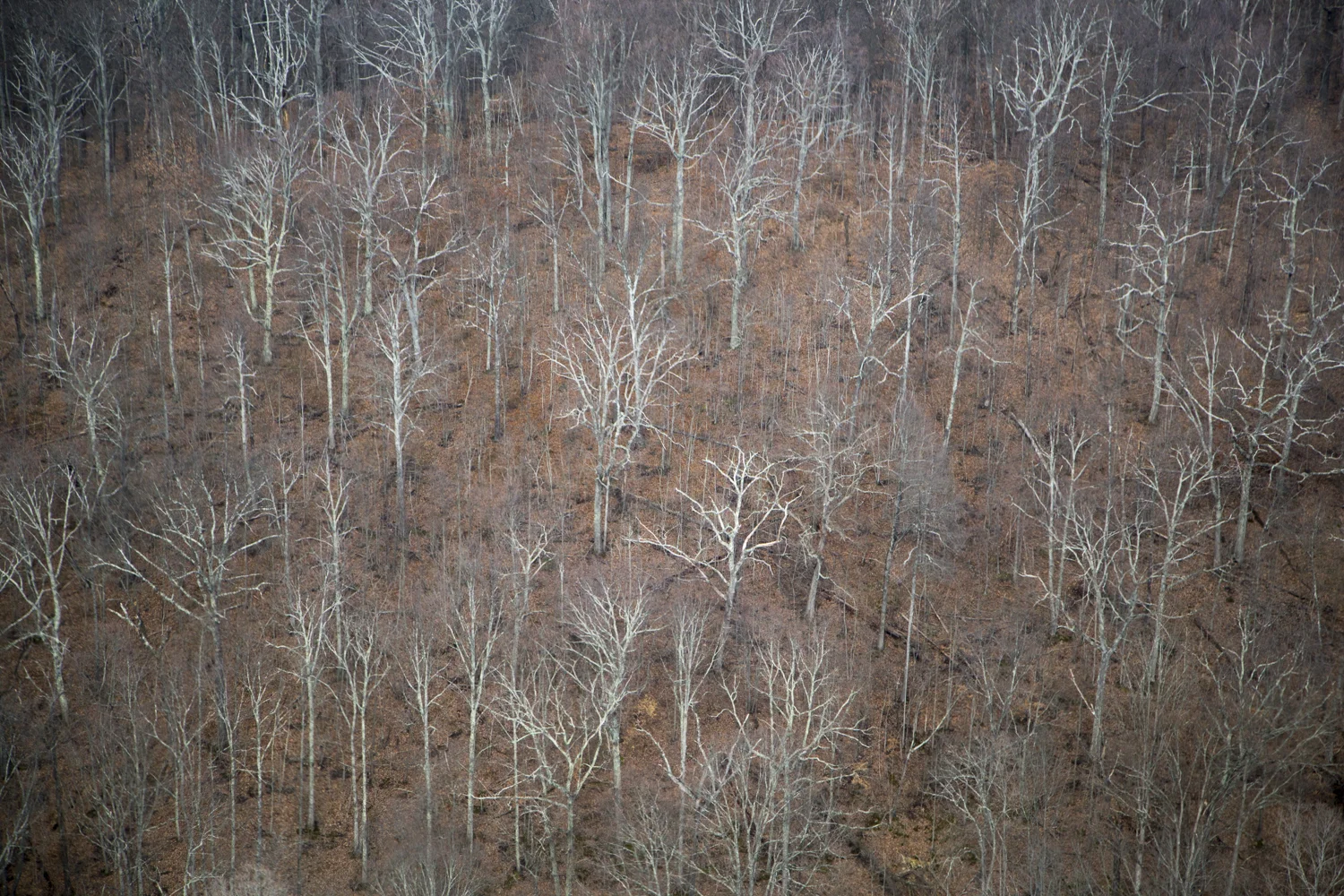 ALS011514_262.jpg