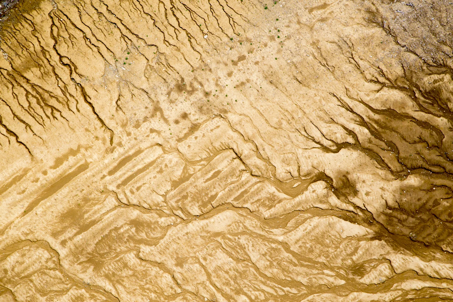 ALS050114_358.jpg
