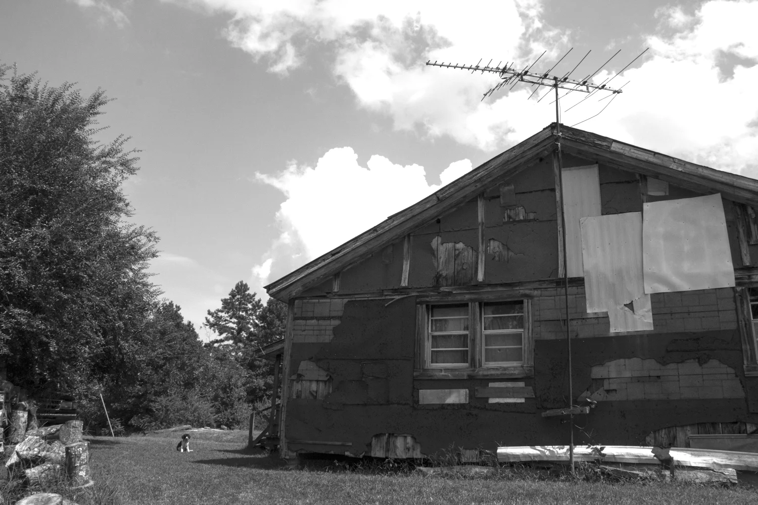 Walnut090214_024.jpg