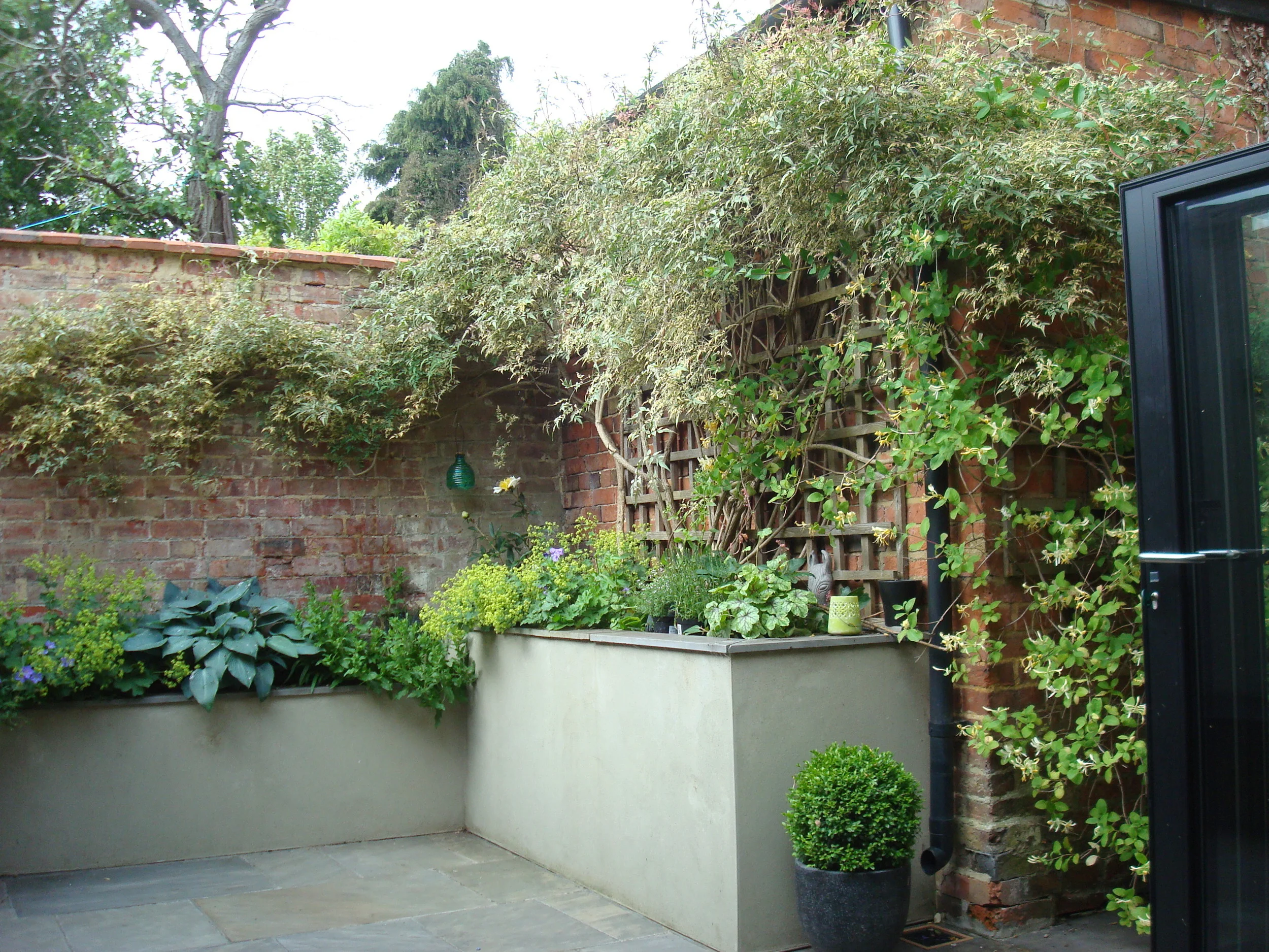 DSC03548.JPG
