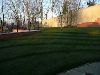 Above: Grass steps lead from the lowered terrace up to the main lawn area.