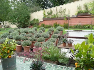hampstead_10.jpg