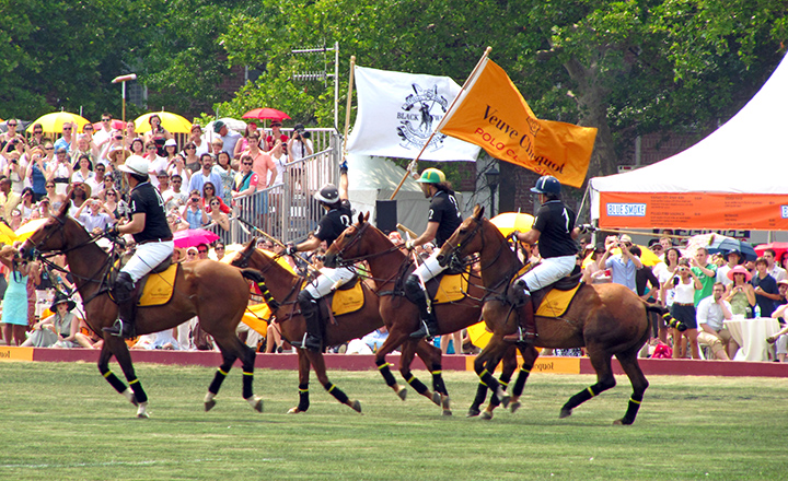 polo3.jpg