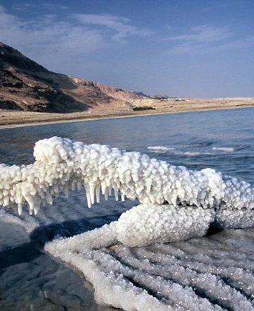 dead sea 4.jpg