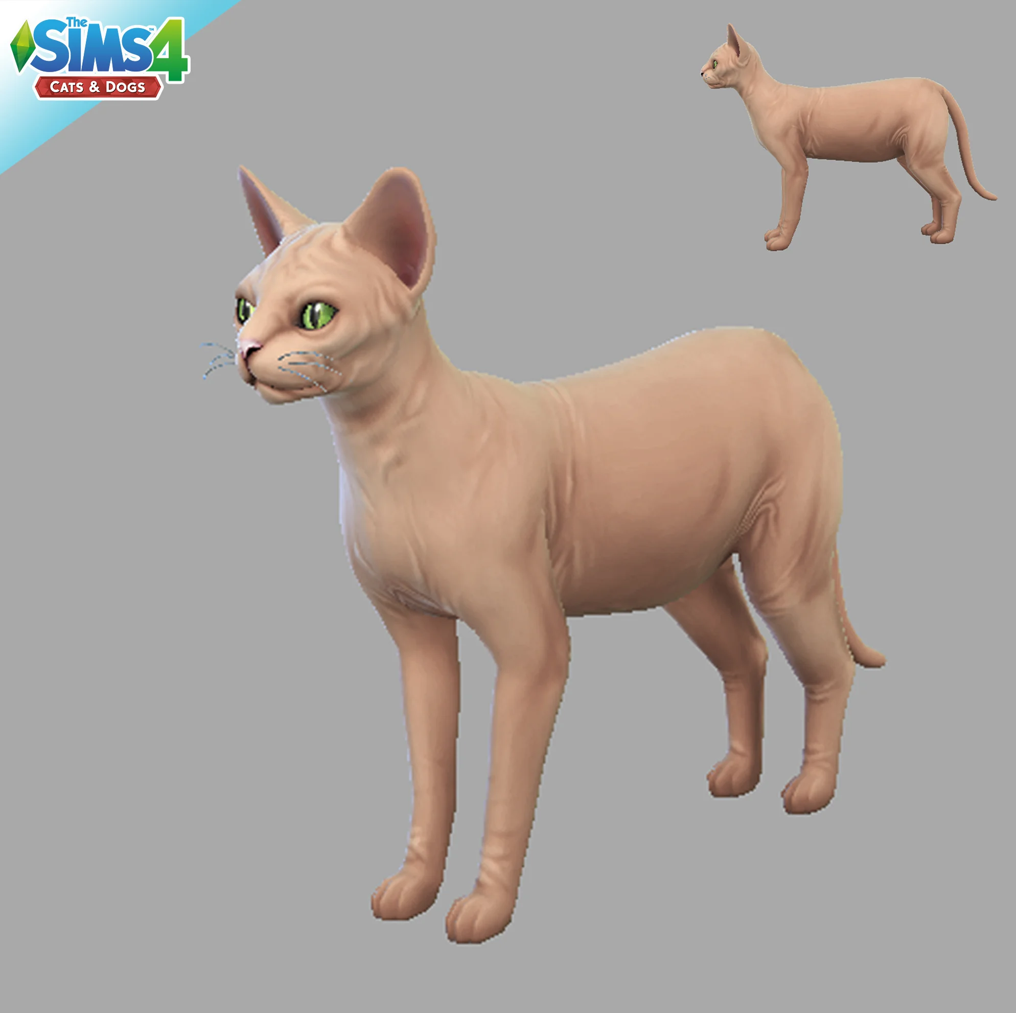 TheSims4Pets_Hairless.jpg