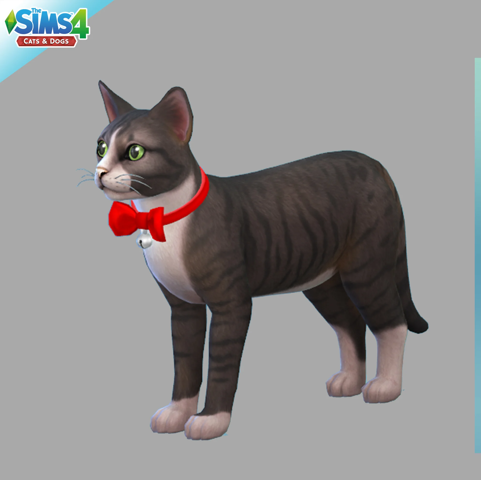 TheSims4Pets_BellCat.jpg
