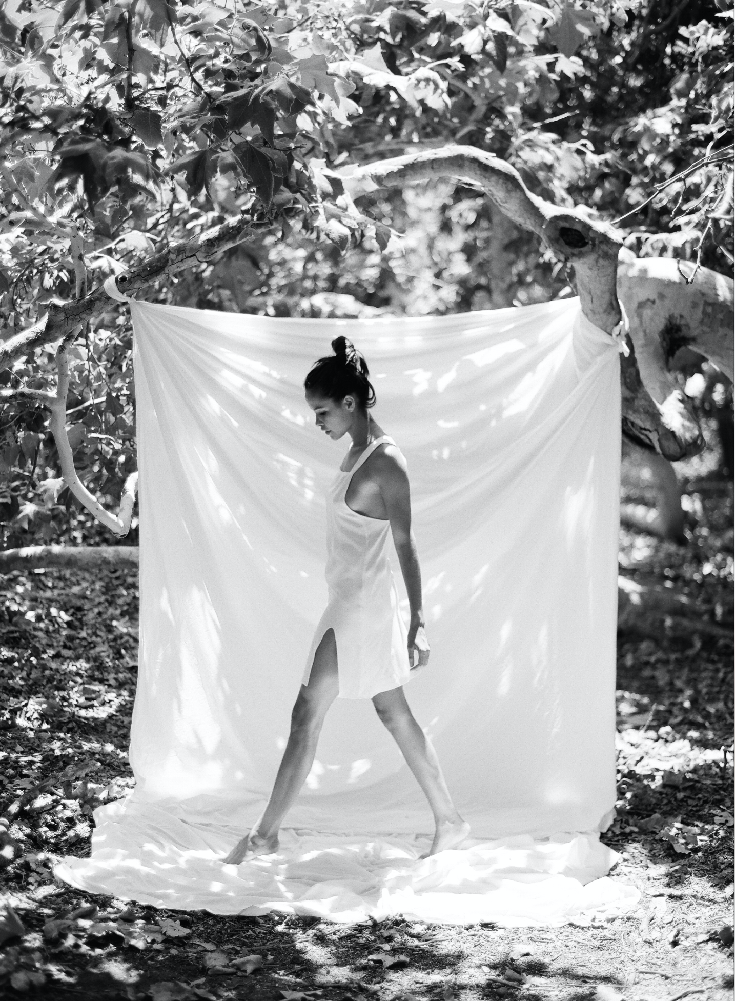 Screen Shot 2017-07-22 at 10.55.45 AM.png