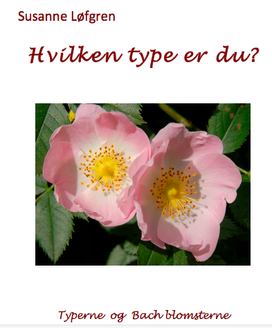 Hvilken type hæfte