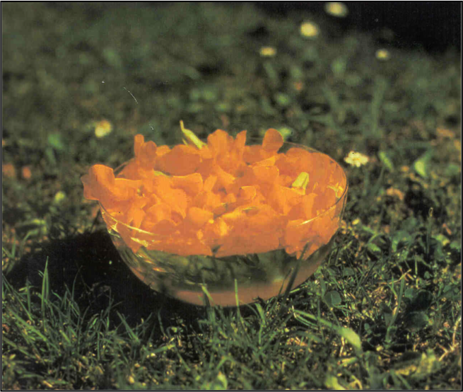 Solmetoden