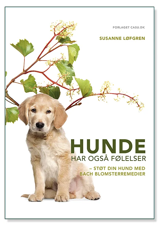 Hunde har også følelser_web.jpg