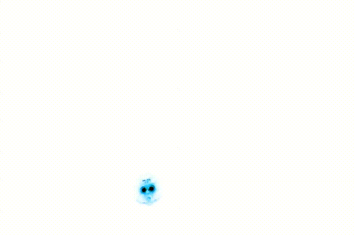 MVI_9709_web.gif