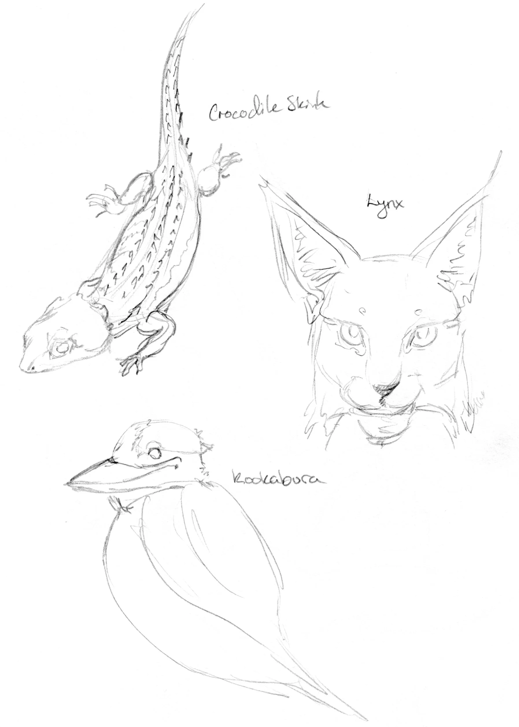 Animals014.jpg