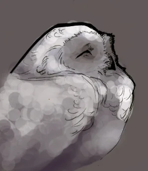 Owl Cheer