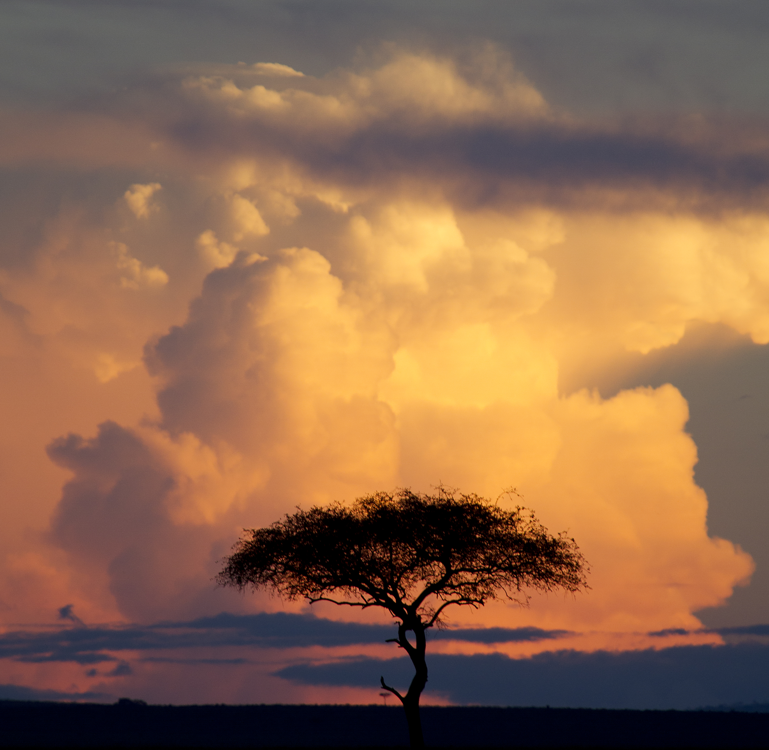 Sunset on the Mara