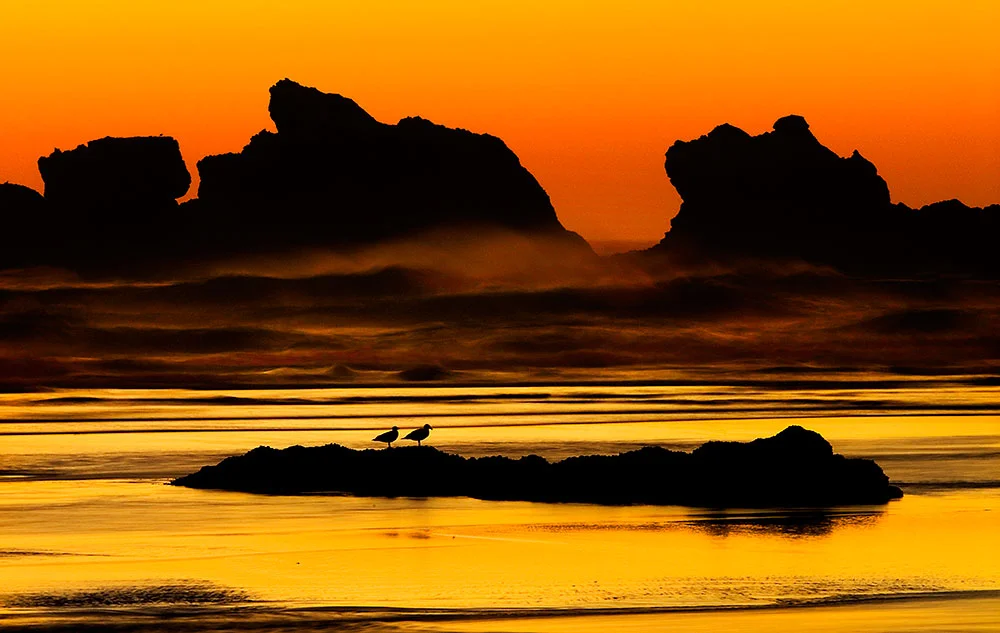 Alex_Morley_Bandon_Sunset_Orange_Gulls.jpg