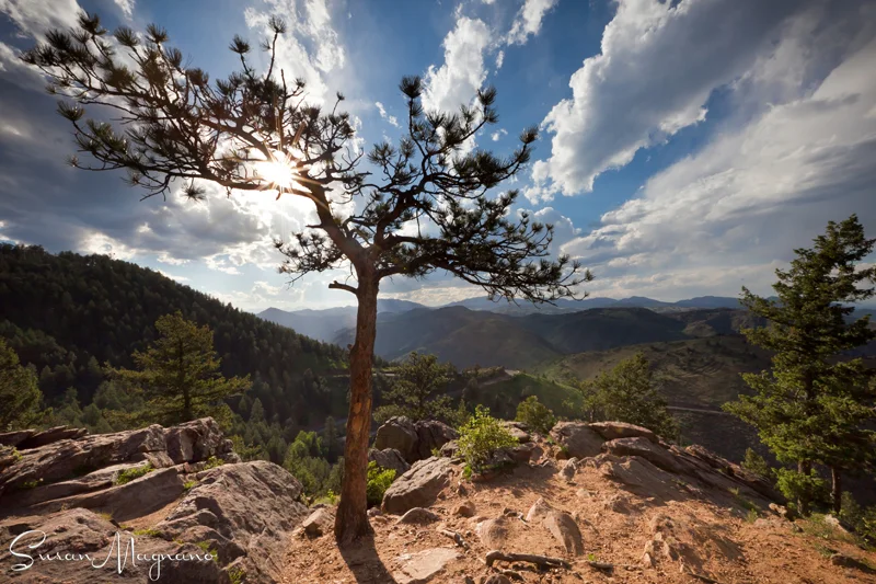 Sparkling Rockies (Image 3).jpg