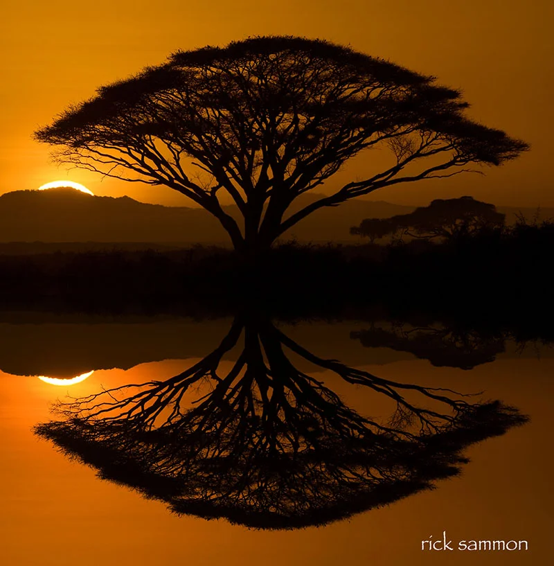 rick sammon .jpg