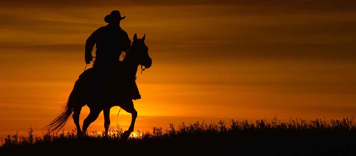 Sunset Rider