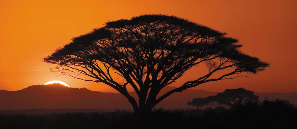 rick sammon sunrise in africa.jpg