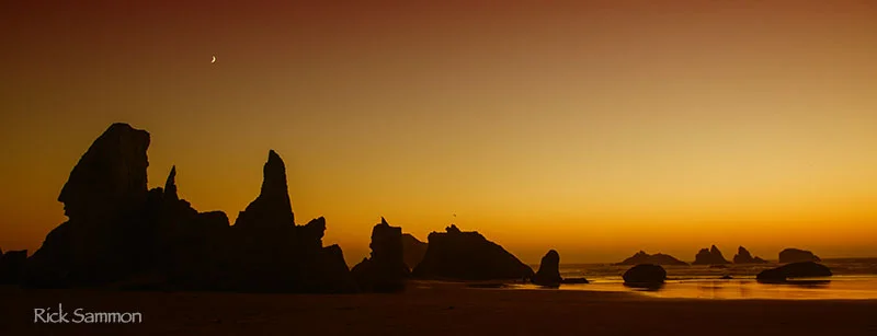 sammon sunset copy.jpg