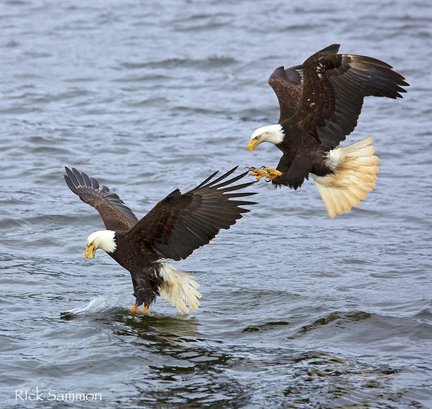 rick sammon alaska.jpg