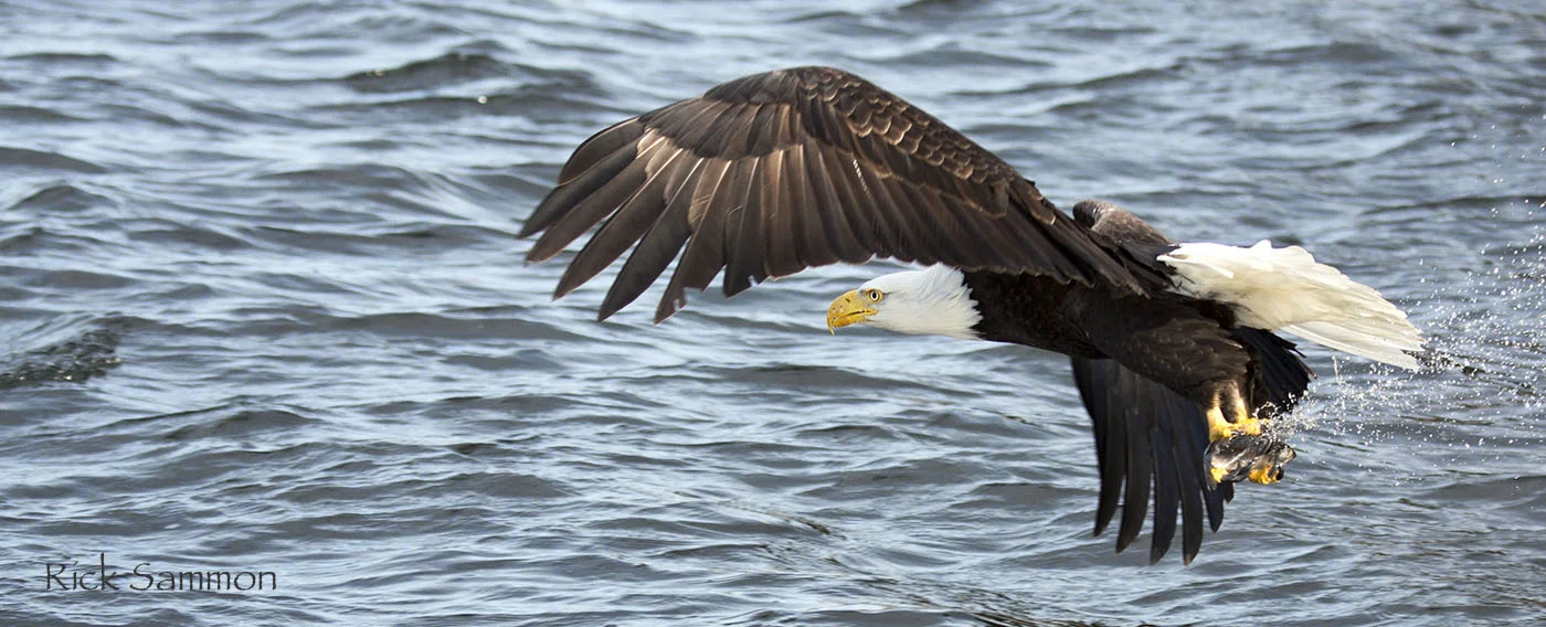 rick sammon alaska 2.jpg