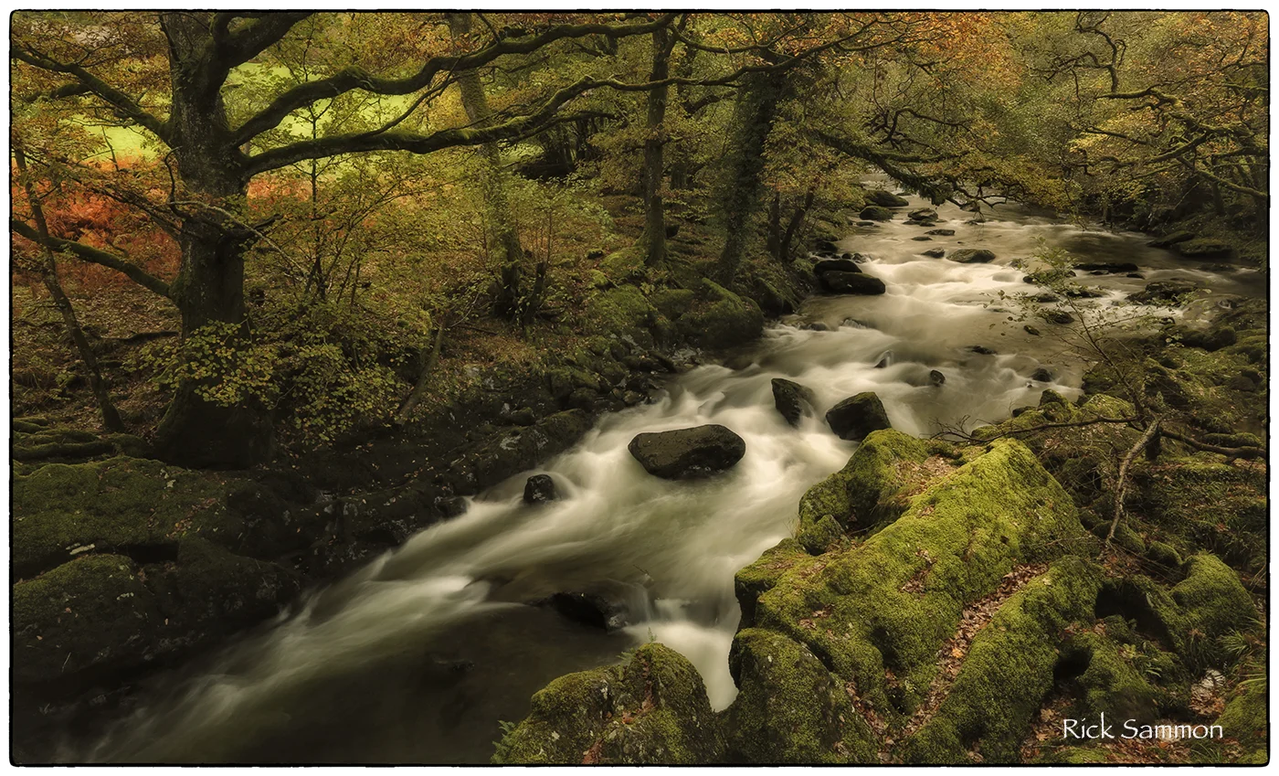 rick sammon north wales.jpg