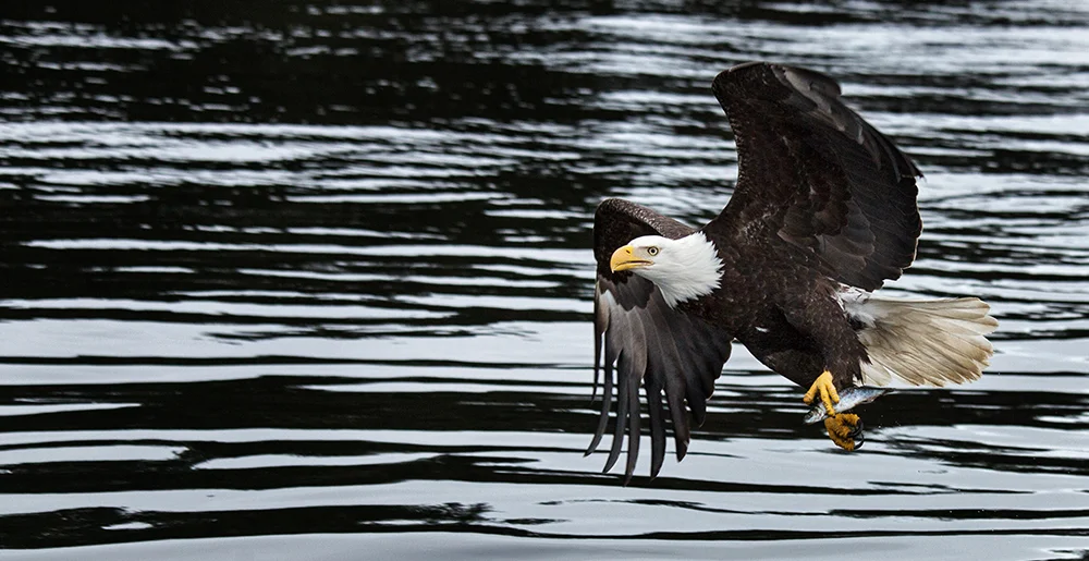 Rick Sammon Alaska 1.jpg