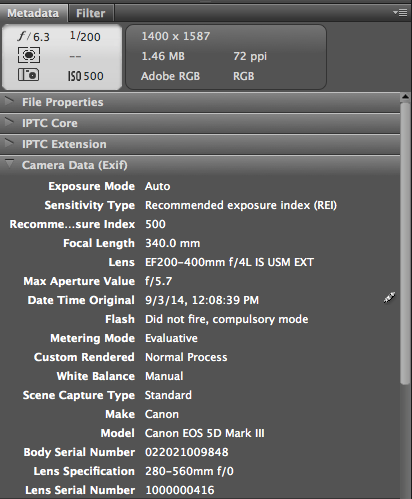 Screen Shot 2014-09-15 at 2.04.14 PM.png