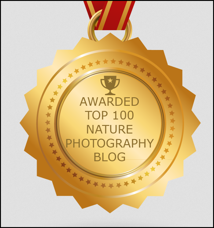 Screen Shot 2017-09-04 at 8.48.55 AM.png