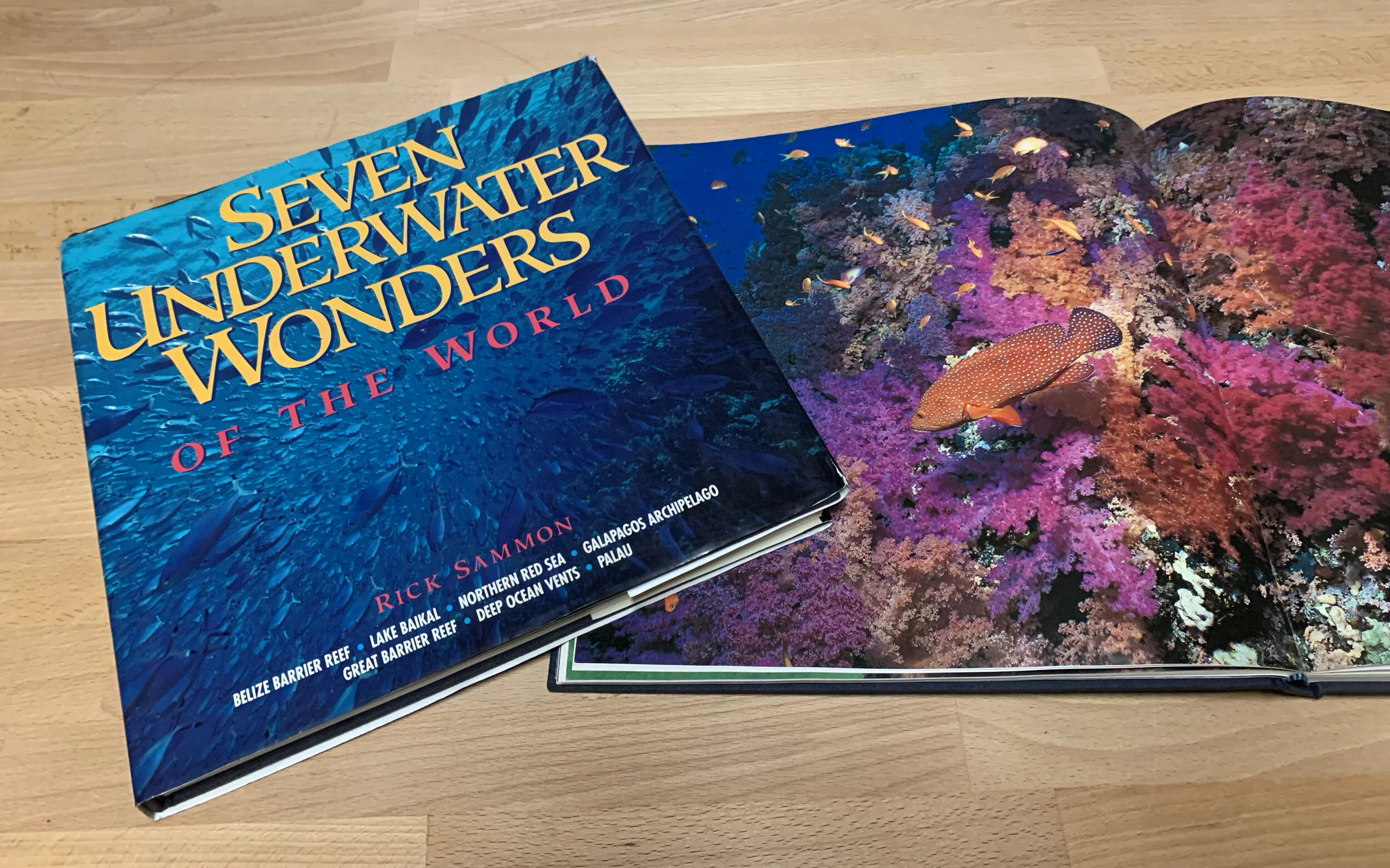 rick sammon copy.jpg